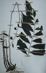 Bolbitis gemmifera