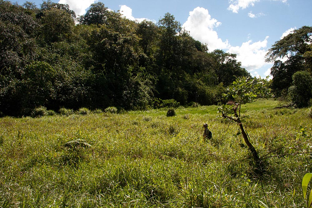 Tava Marsh